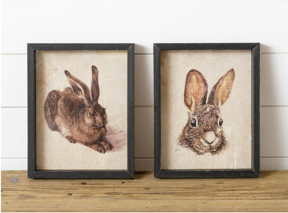 Framed Rabbit Prints