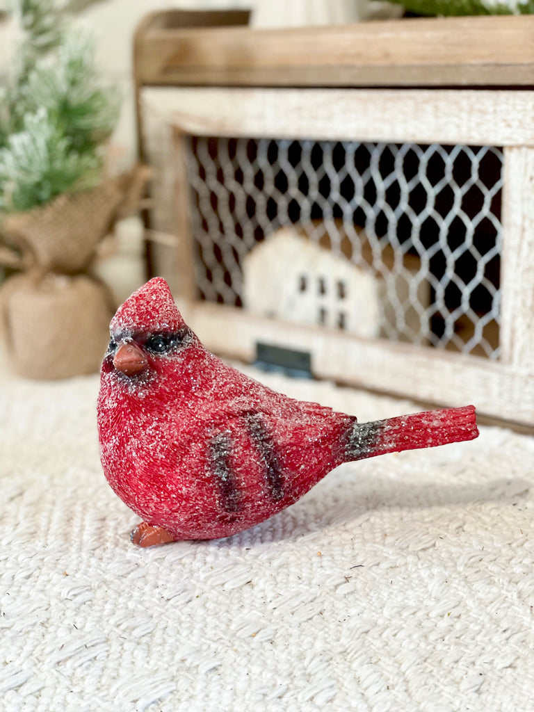 Cardinal Shelf Sitter