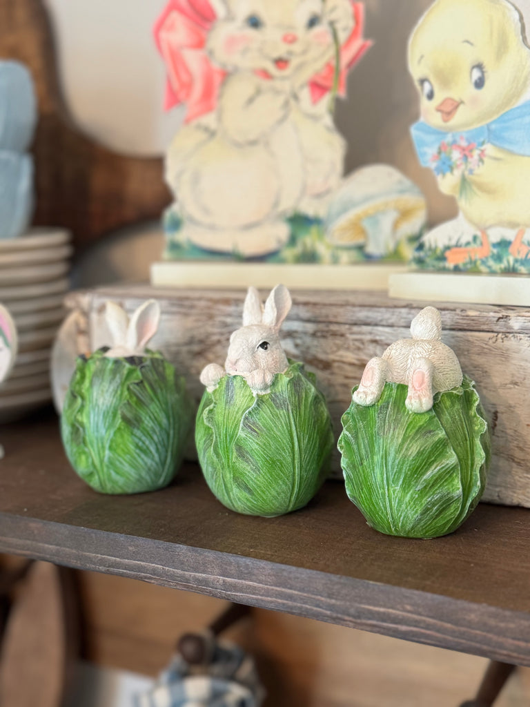 3 Piece Bunny in Cabbage Set