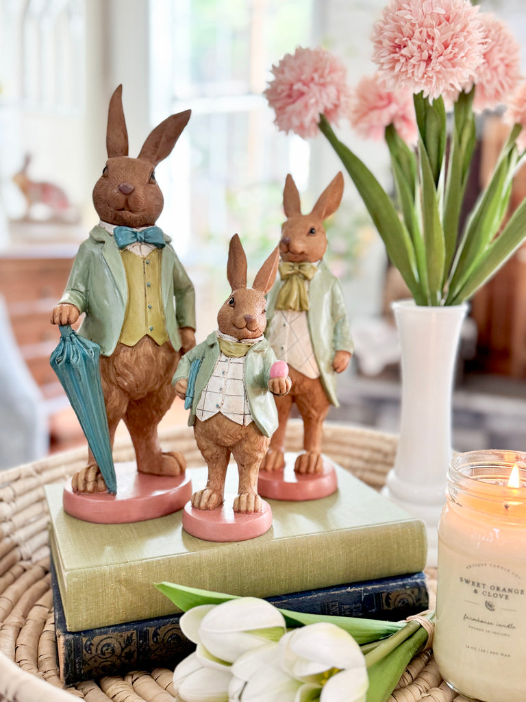 Peter Rabbit / Bunny Trio