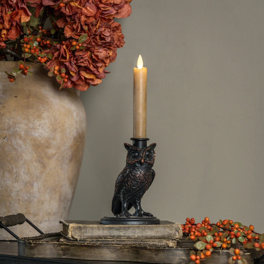 Owl Taper Candle Holder