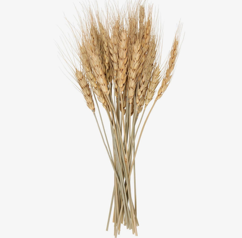 Small Wheat Bundle