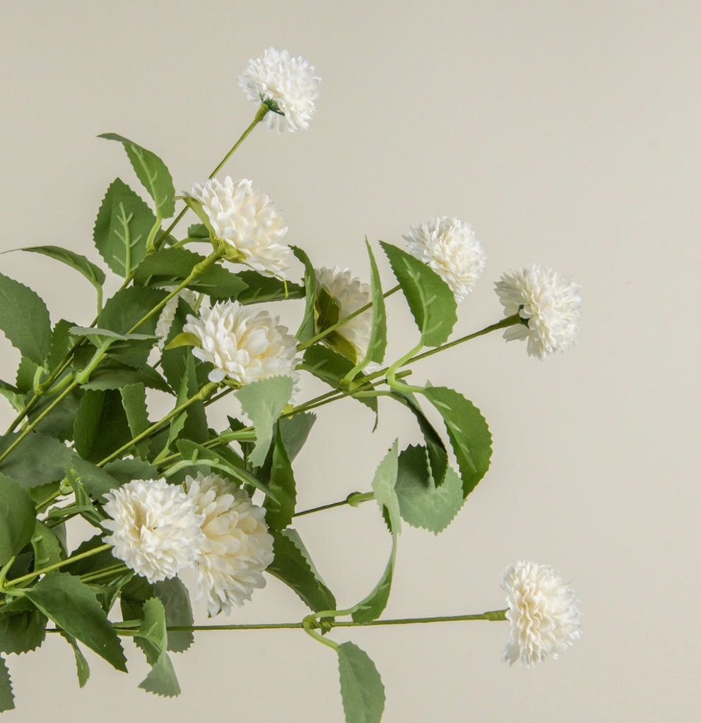 21” Cream Mum Bush