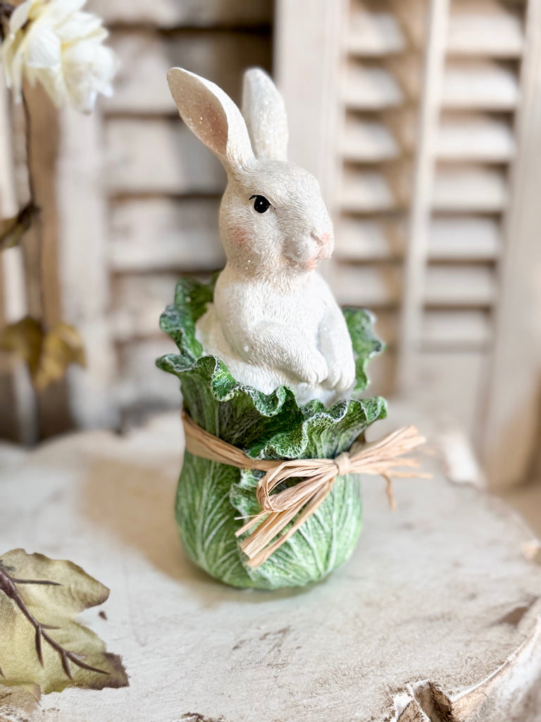 Bunny in Cabbage