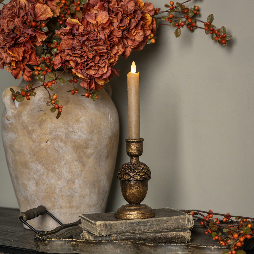 5.75” Bronze Acorn Taper Candle Holder