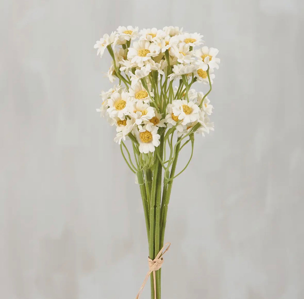 Miniature Daisies Bouquet