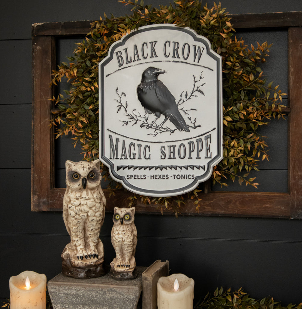 Black Crow Magic Shoppe Sign – Birch Lane by Jennifer