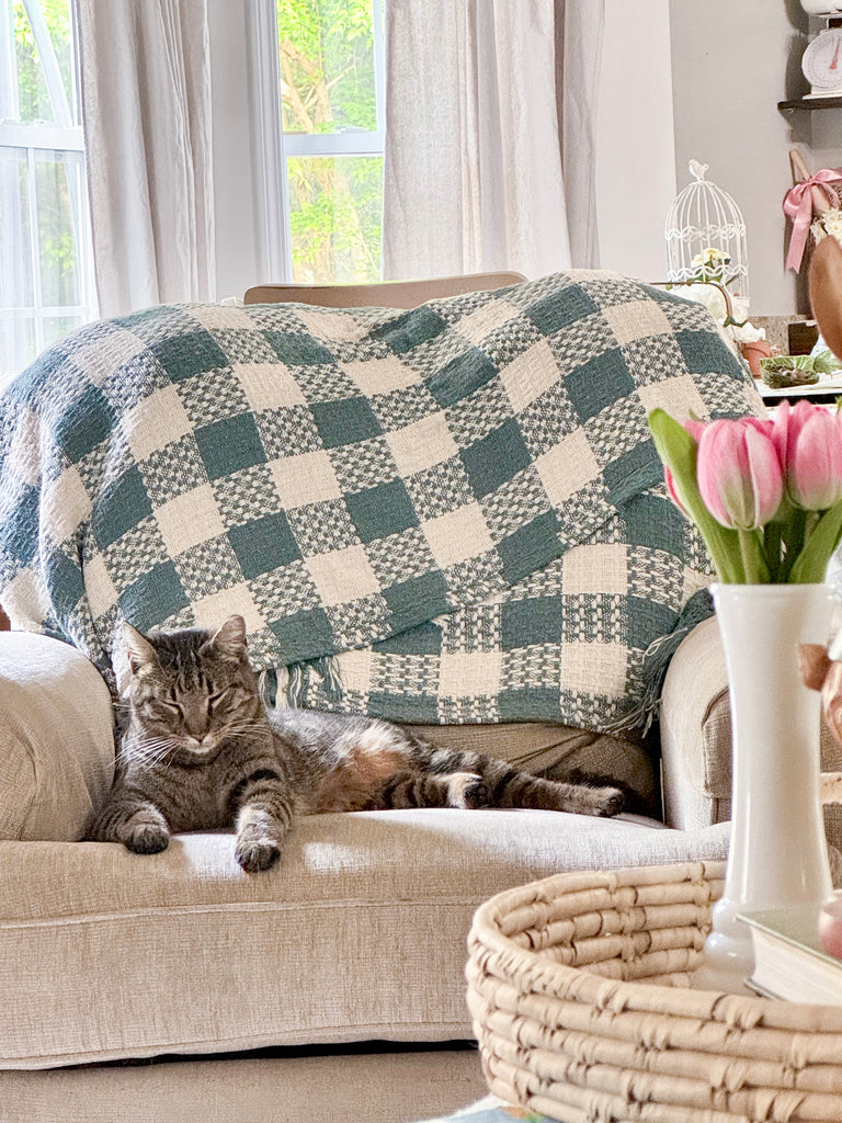 Blue Woven Check Throw Blanket with Fringe