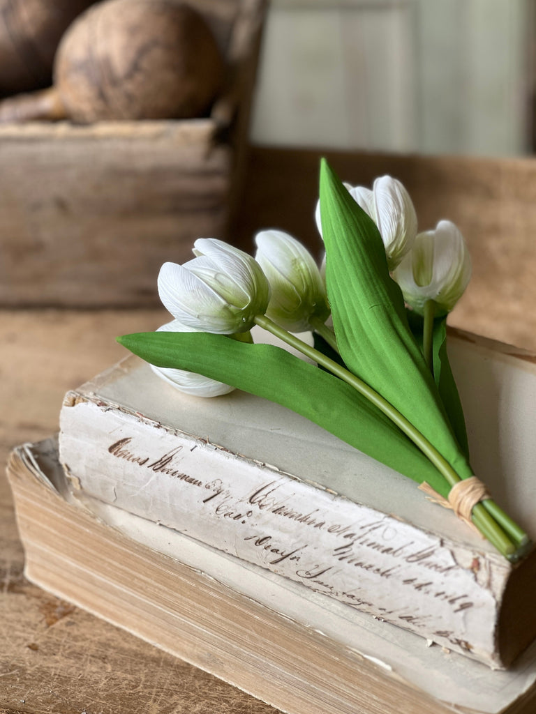 8.5” White Tulip Bundle