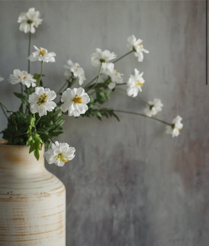 30” White Coreopsis