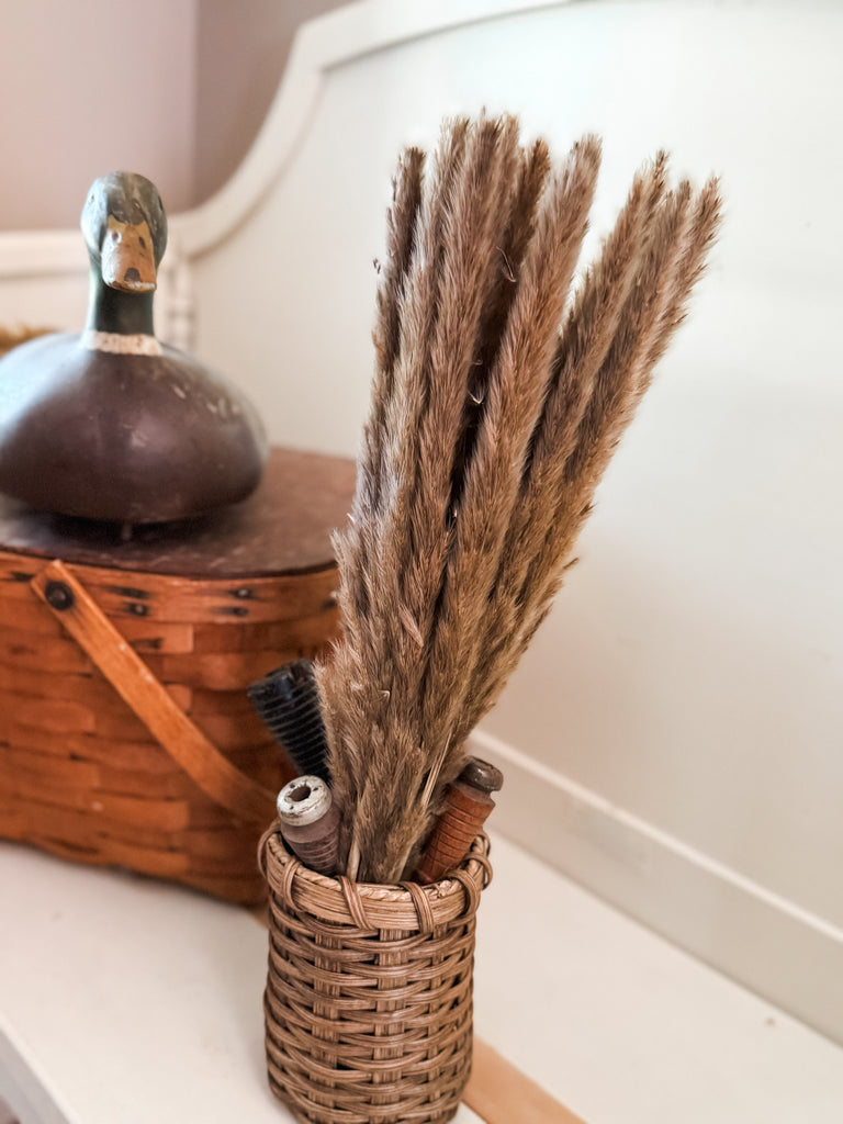 Brown Feather Reed Bunch