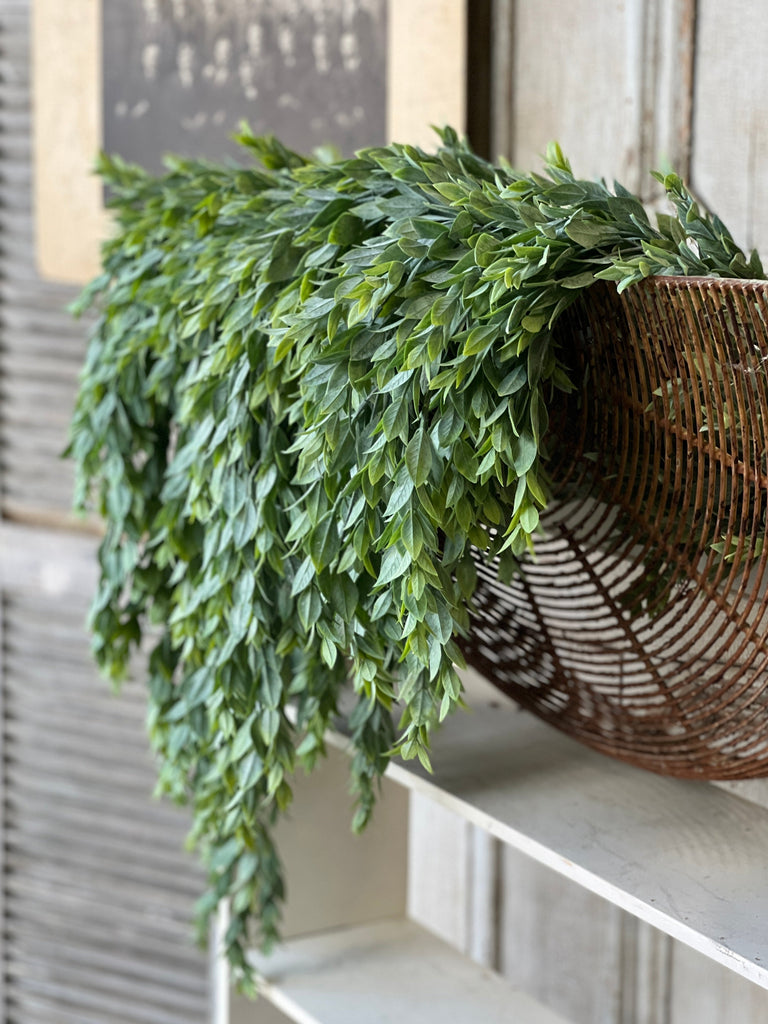 33” Rainwashed Hanging Bush – Birch Lane by Jennifer