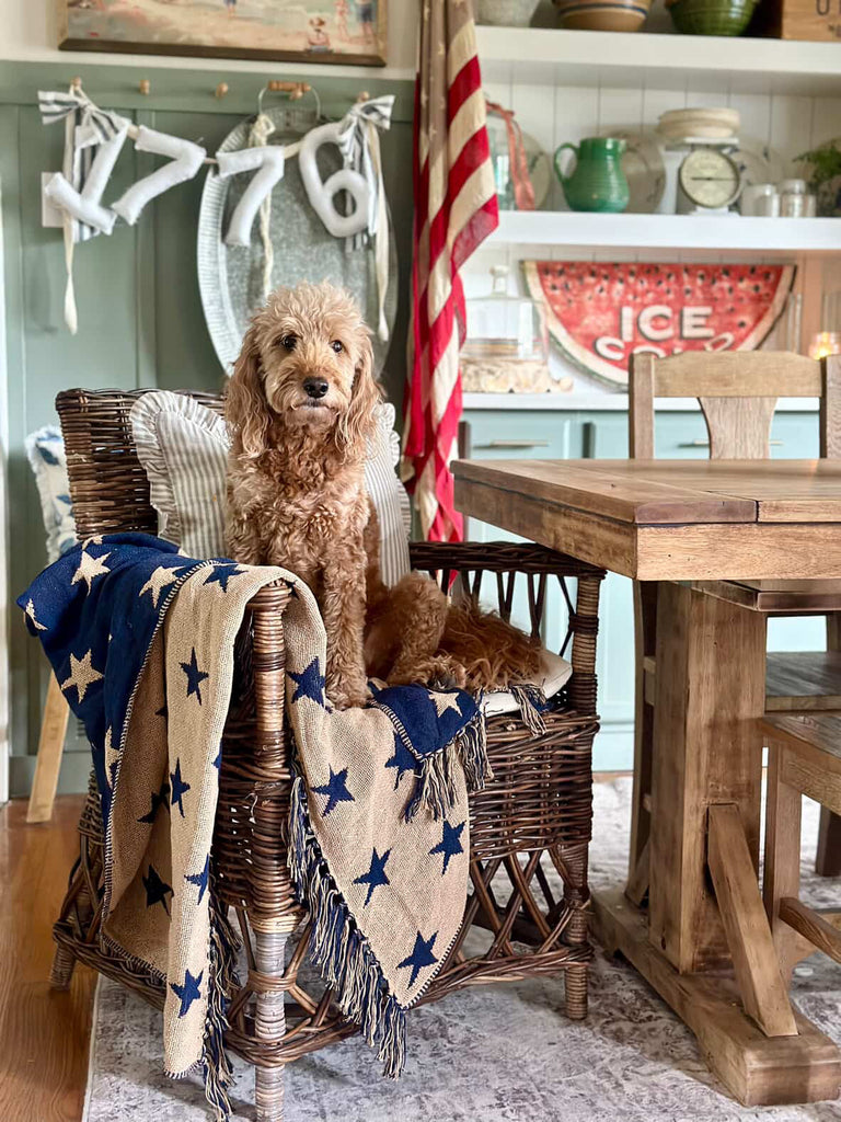Stars Woven Throw