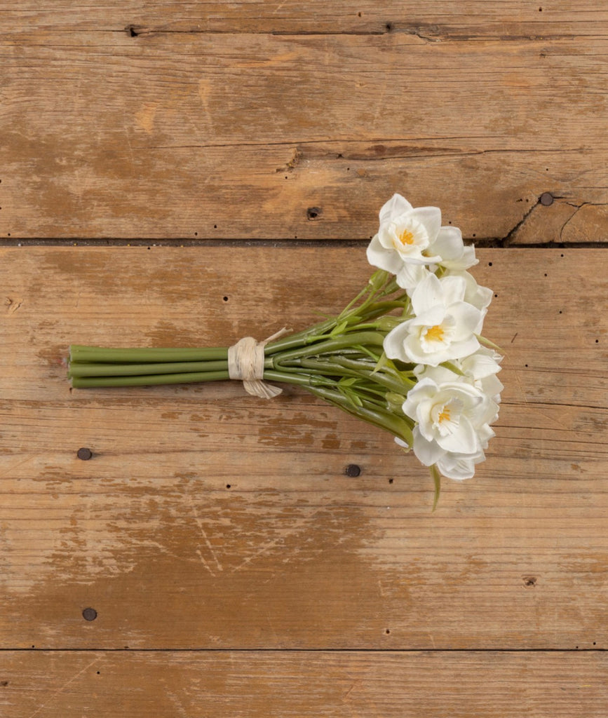 9.5” White Daffodil Bundle