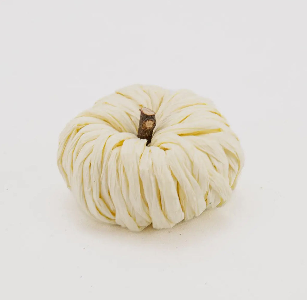 Petite 3” White Pumpkin