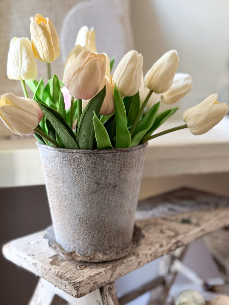 metal plant pot saucers Metal Pot with Saucer – Birch Lane by Jennifer