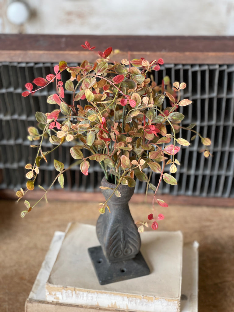 12” Bog Pimpernel Fall Bush