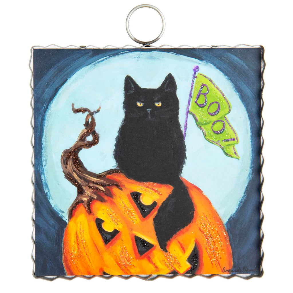 Boo Black Cat Pumpkin