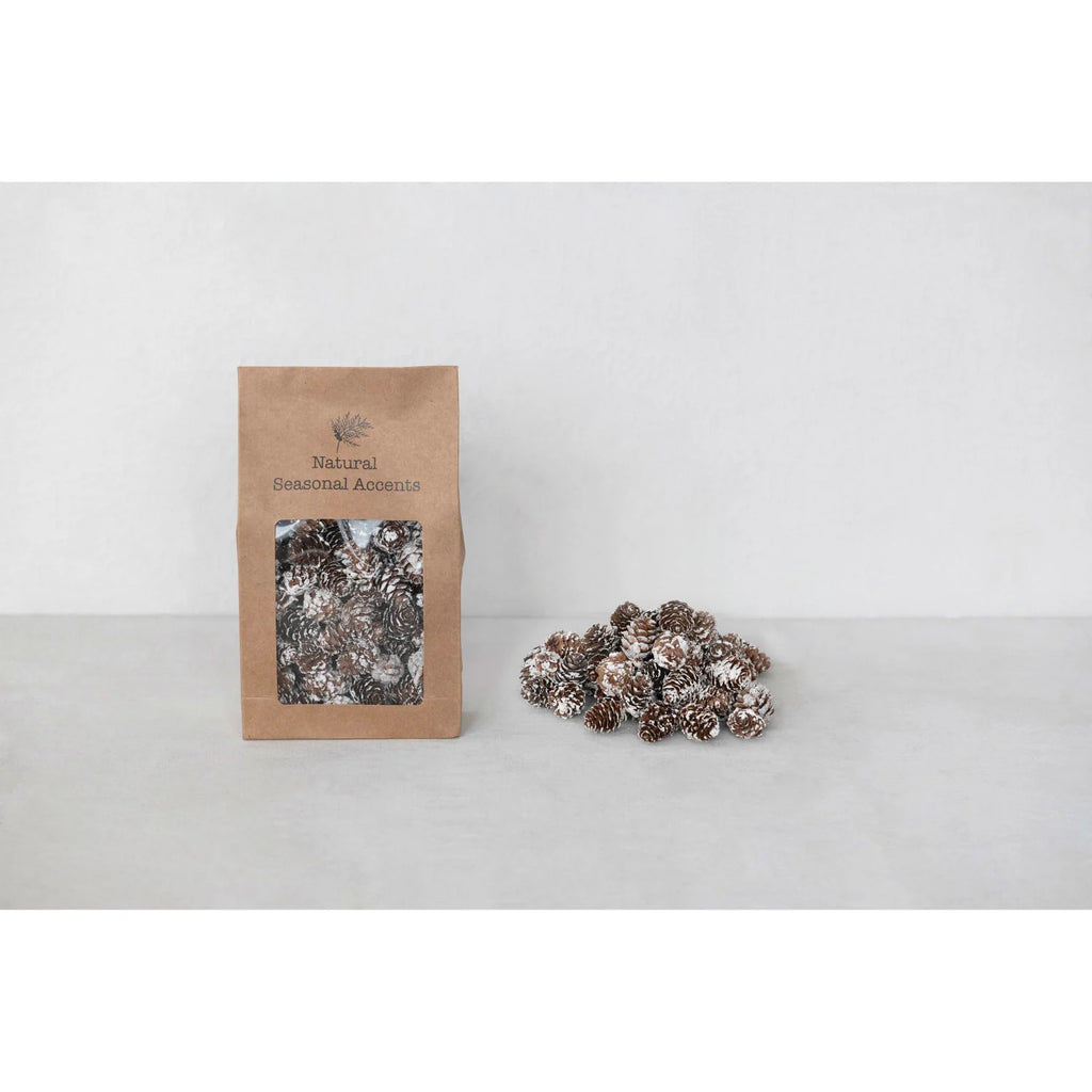 Dried Natural Pinecones